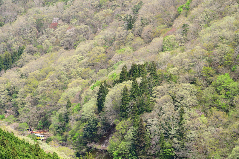 r2026.04.24-da248.jpg