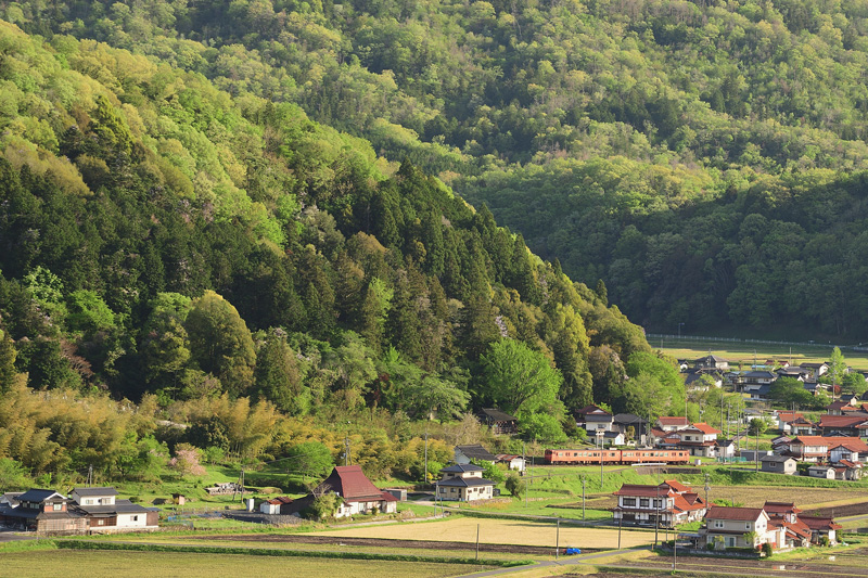 r2026.04.24-da390.jpg