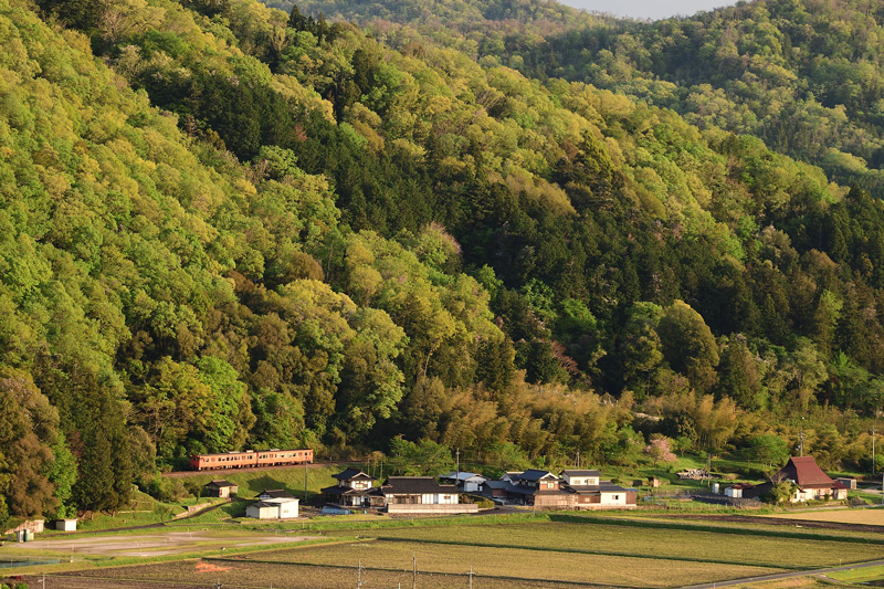 r2026.04.24-da533.jpg
