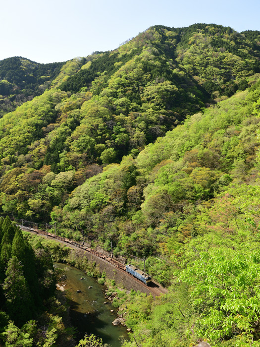 r2026.04.25-d6125.jpg