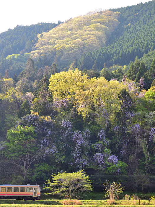 r2026.04.25-da038.jpg