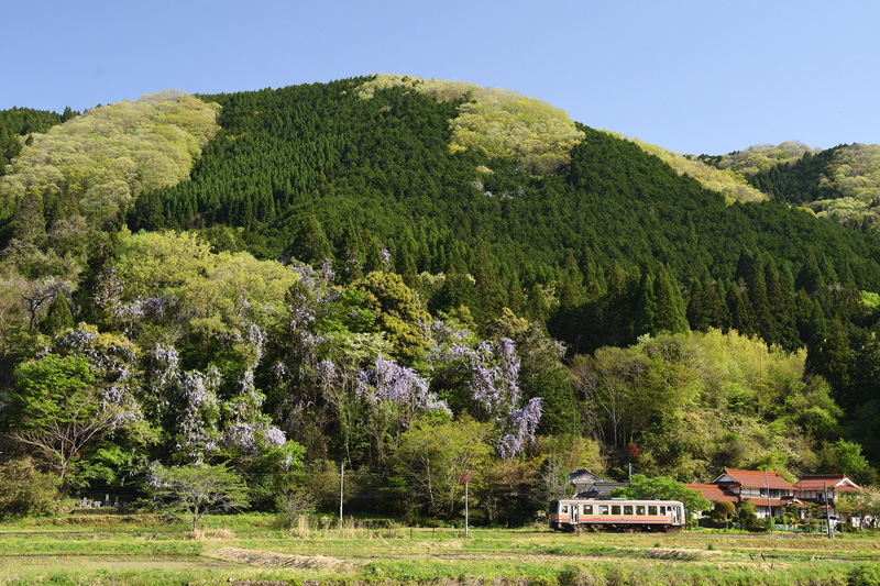 r2026.04.25-da280.jpg