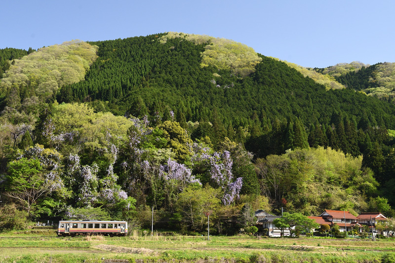 r2026.04.25-da297.jpg