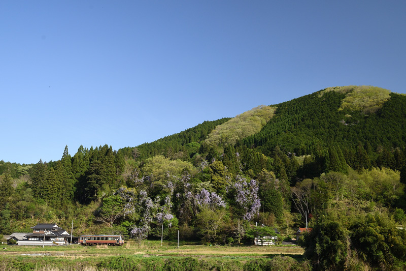 r2026.04.25-da353.jpg