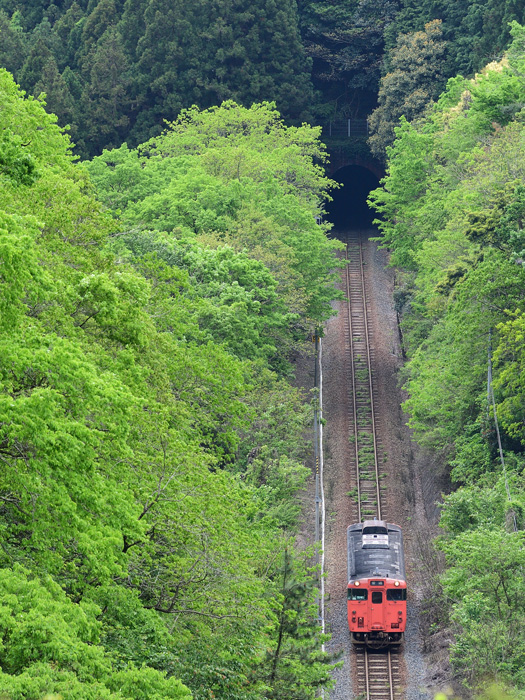 r2026.05.04-da065.jpg