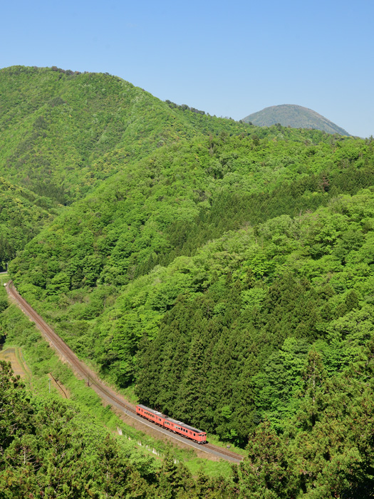 r2026.05.05-d6041.jpg