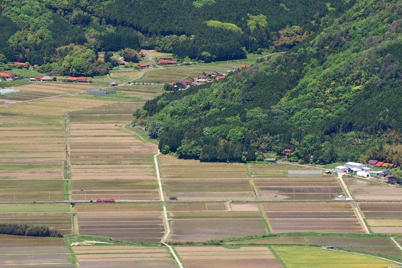 r2026.05.09-da025.jpg