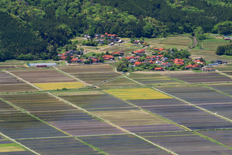 r2026.05.09-da096.jpg