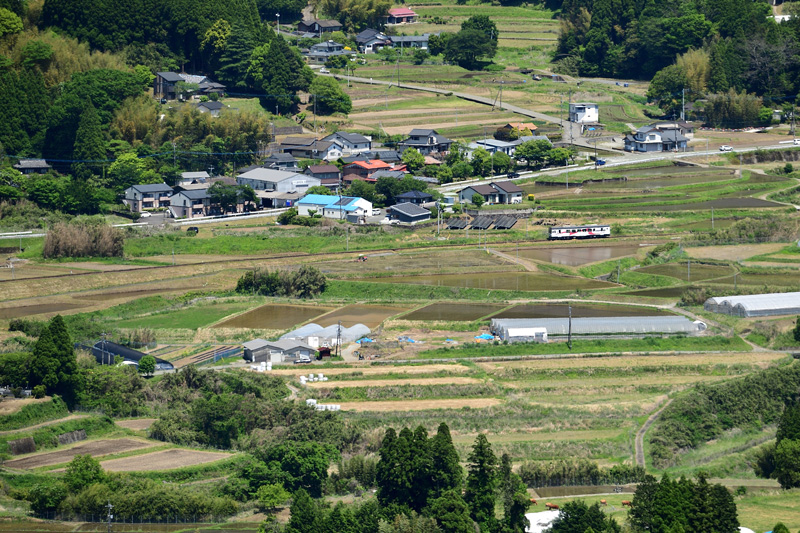 r2026.05.10-da294.jpg