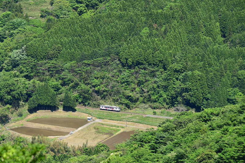 r2026.05.10-da397.jpg