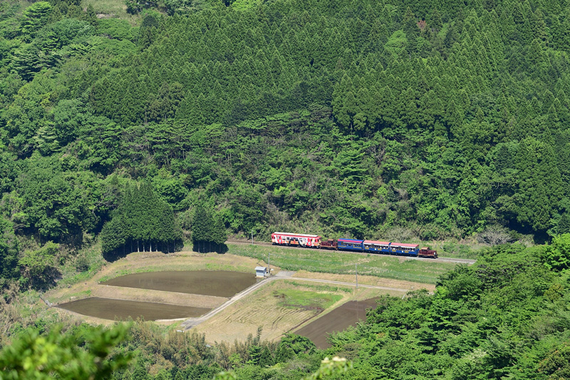 r2026.05.10-da600.jpg