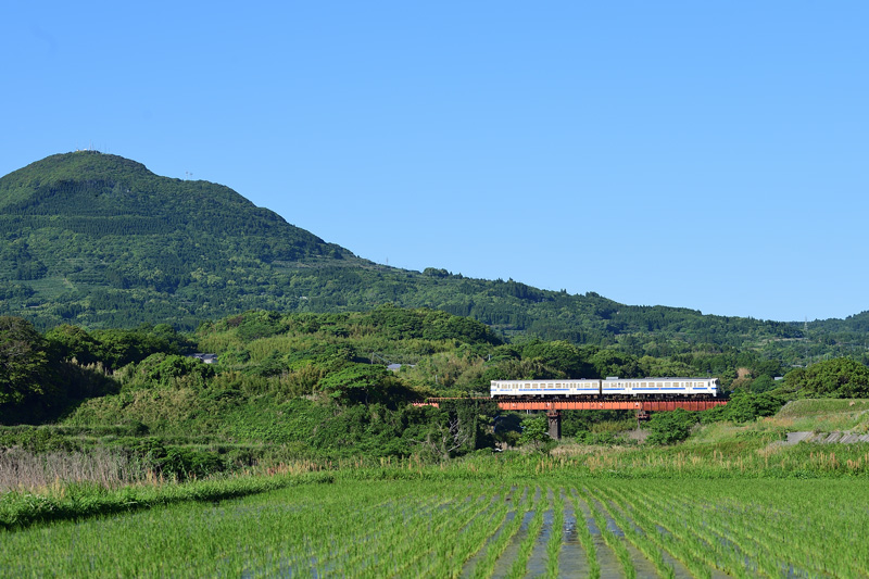 r2026.05.11-da135.jpg