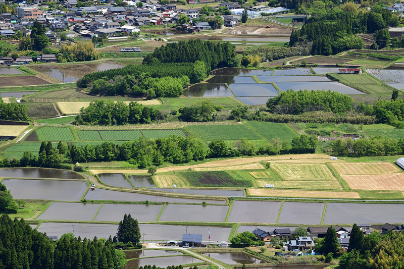 r2026.05.13-da115.jpg
