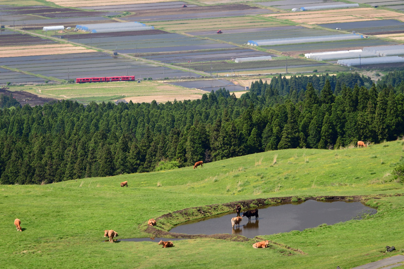 r2026.05.13-da271.jpg