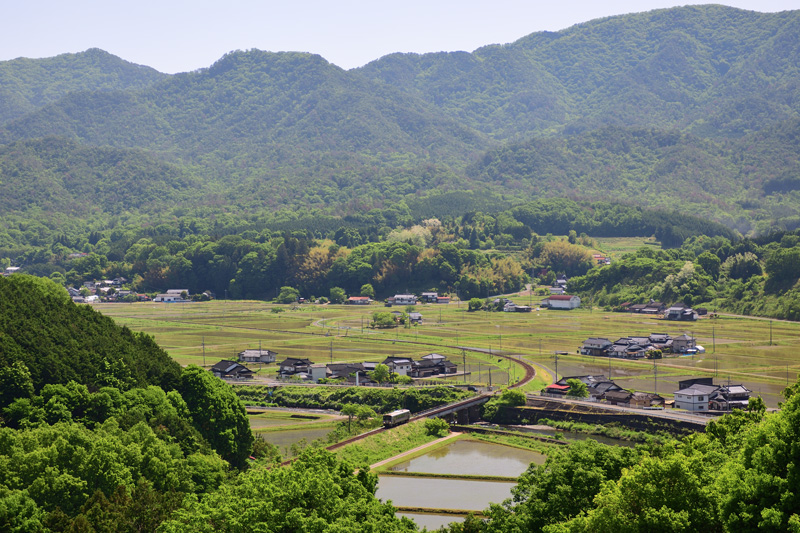 r2026.05.15-d6028.jpg