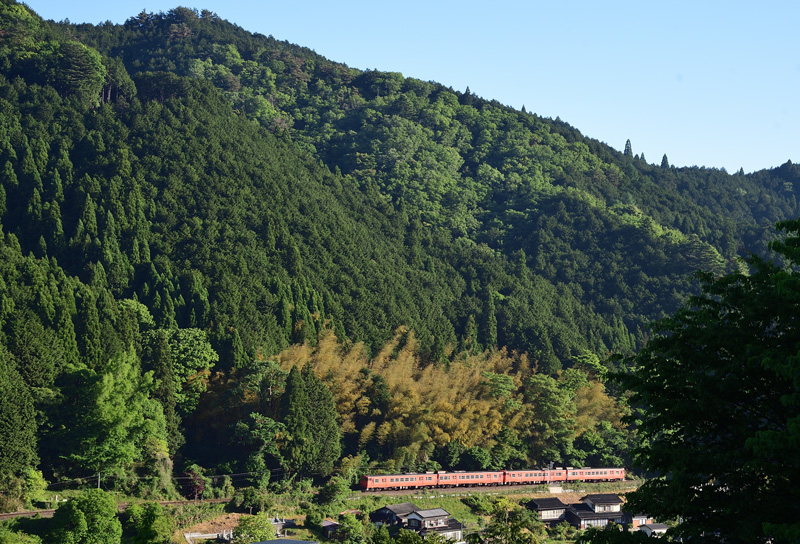 r2026.05.17-da189.jpg