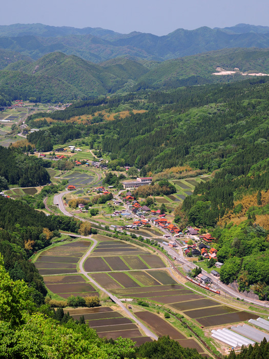 r2026.05.18-d6014.jpg