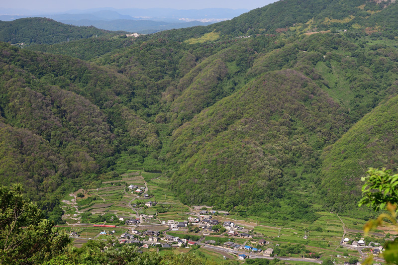r2026.05.29-d6183.jpg