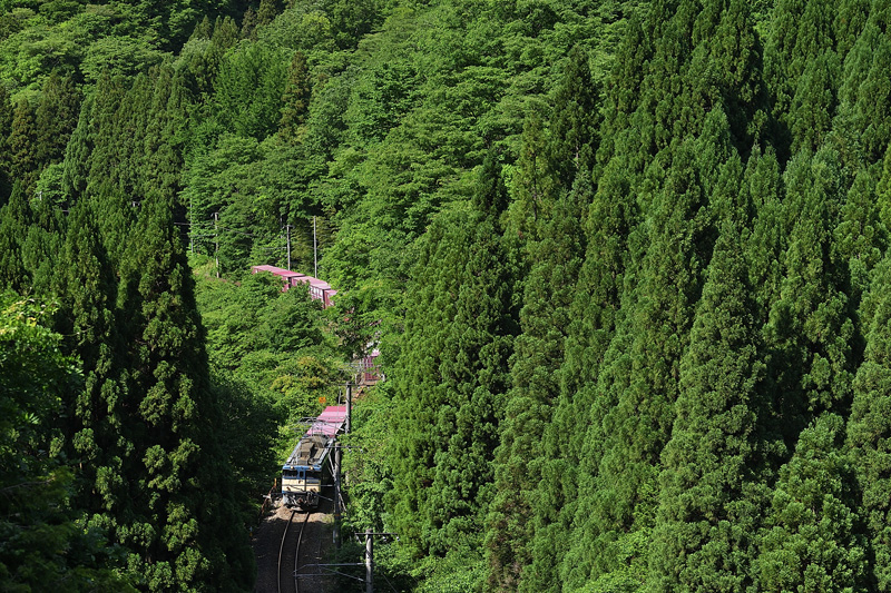 r2026.05.29-da767b.jpg