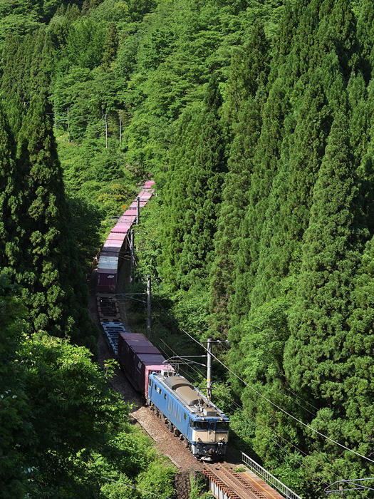 r2026.05.29-da775.jpg