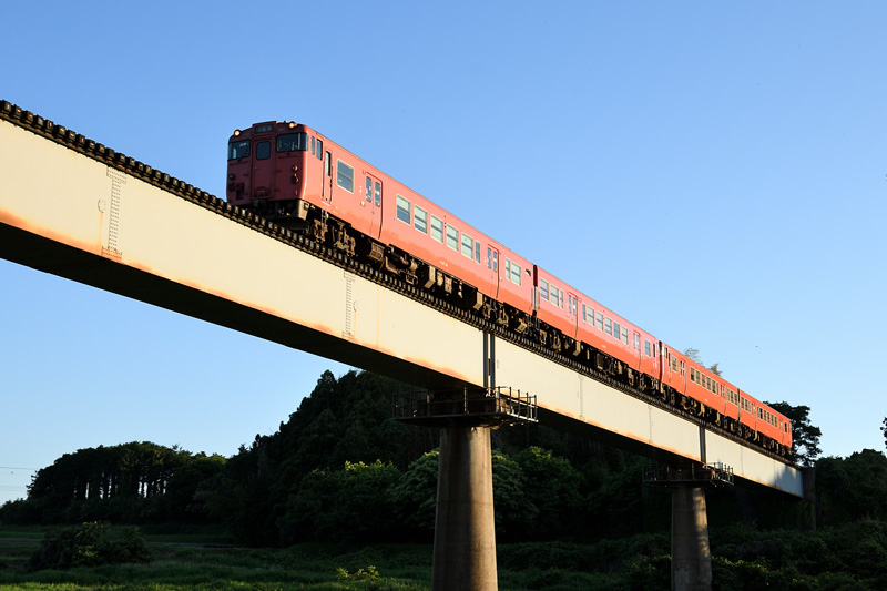 r2026.05.29-da828.jpg