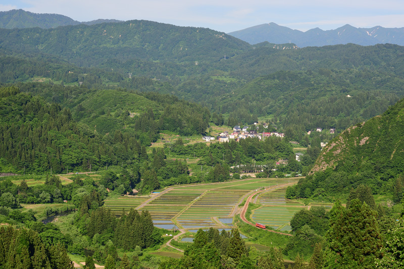 r2026.05.31-d6007.jpg
