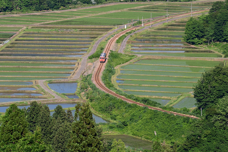 r2026.05.31-da046.jpg