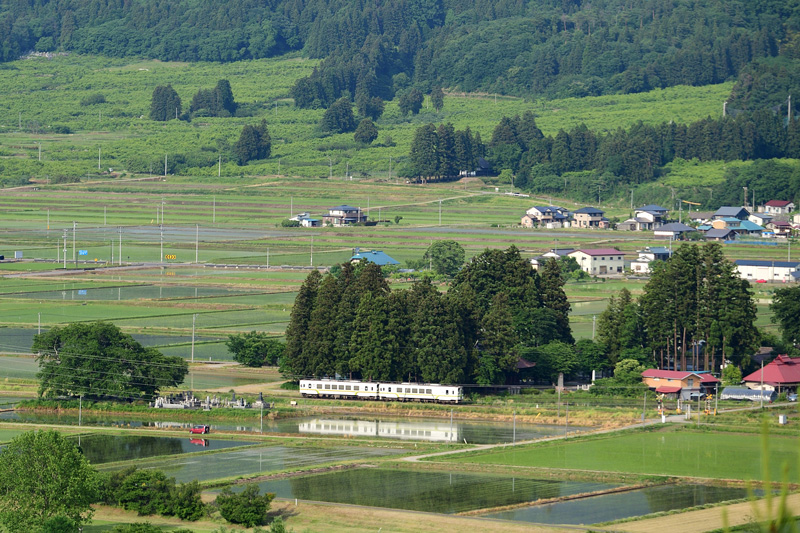 r2026.06.01-da294.jpg