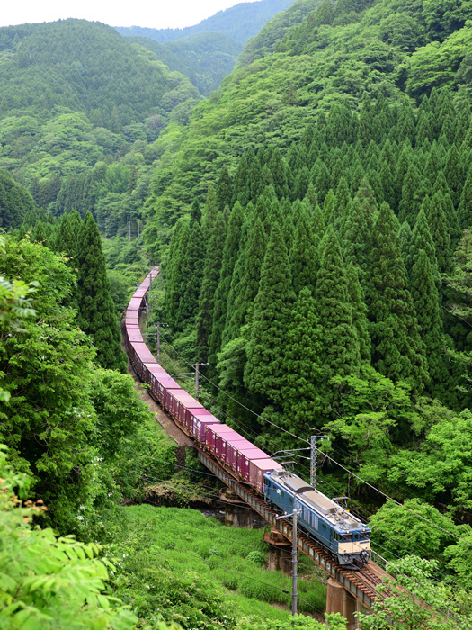 r2026.06.04-d6202.jpg