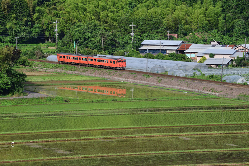 r2026.06.04-da105.jpg