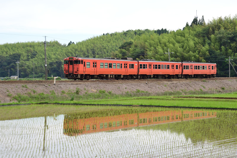 r2026.06.04-da182.jpg