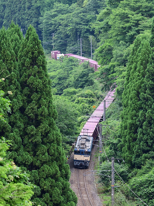 r2026.06.04-da313.jpg