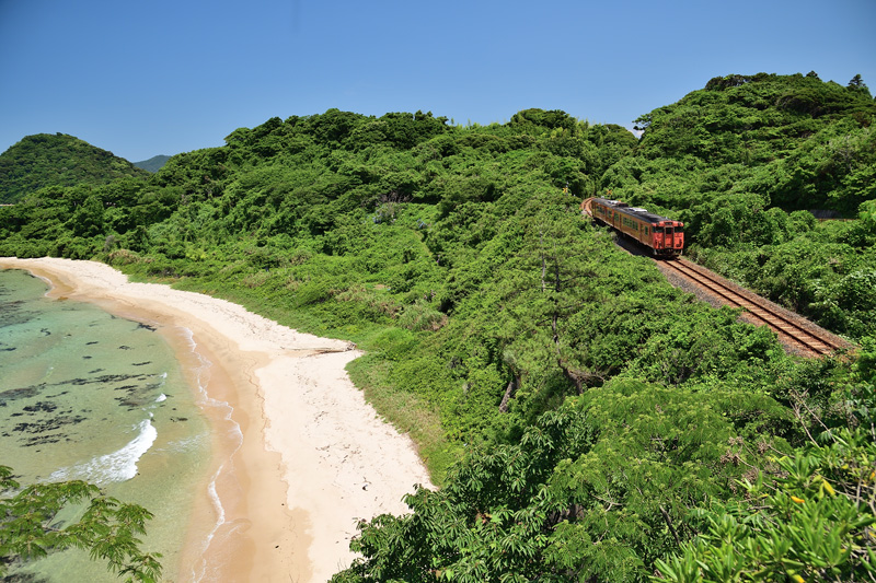 r2026.06.10-da236.jpg
