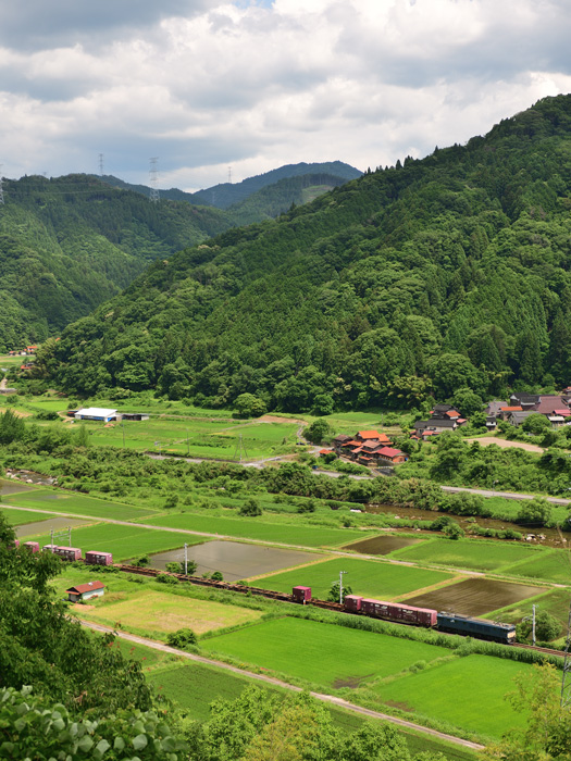 r2026.06.15-d6015.jpg