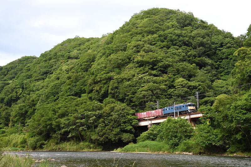 r2026.06.15-da050.jpg