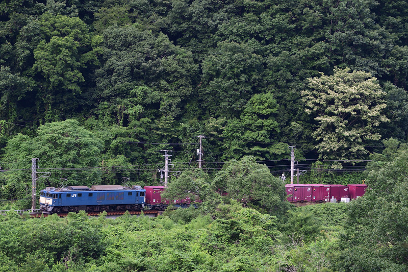 r2026.06.15-da095.jpg