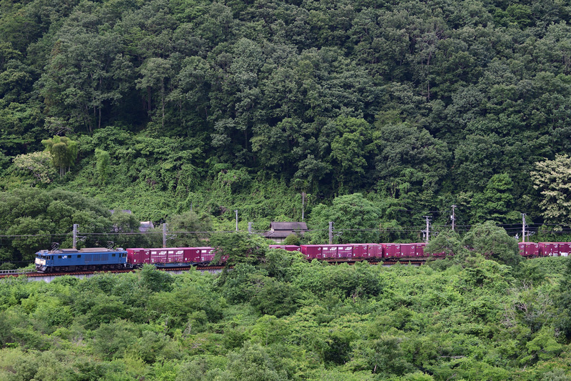 r2026.06.15-da105.jpg