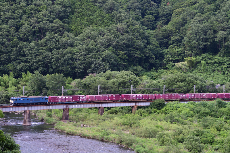 r2026.06.15-da135.jpg