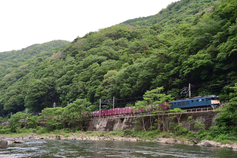 r2026.06.15-da191.jpg