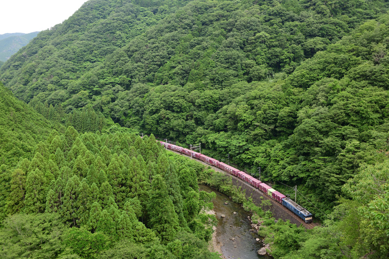 r2026.06.16-d6049.jpg