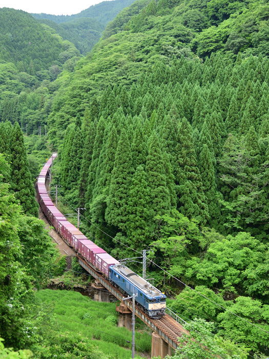 r2026.06.17-d6123.jpg
