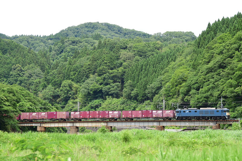 r2026.06.17-da203.jpg