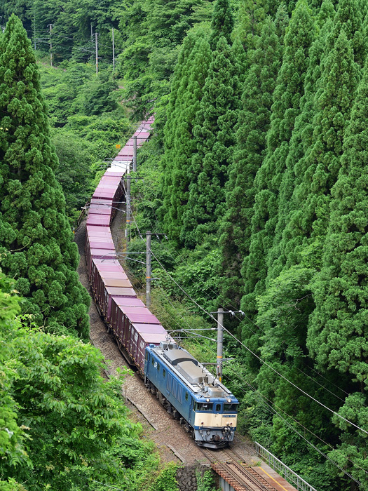 r2026.06.17-da238.jpg